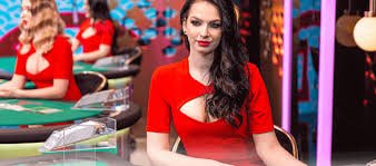 গোপনীয়তা নীতি পড়ার শান্ত দৃশ্য